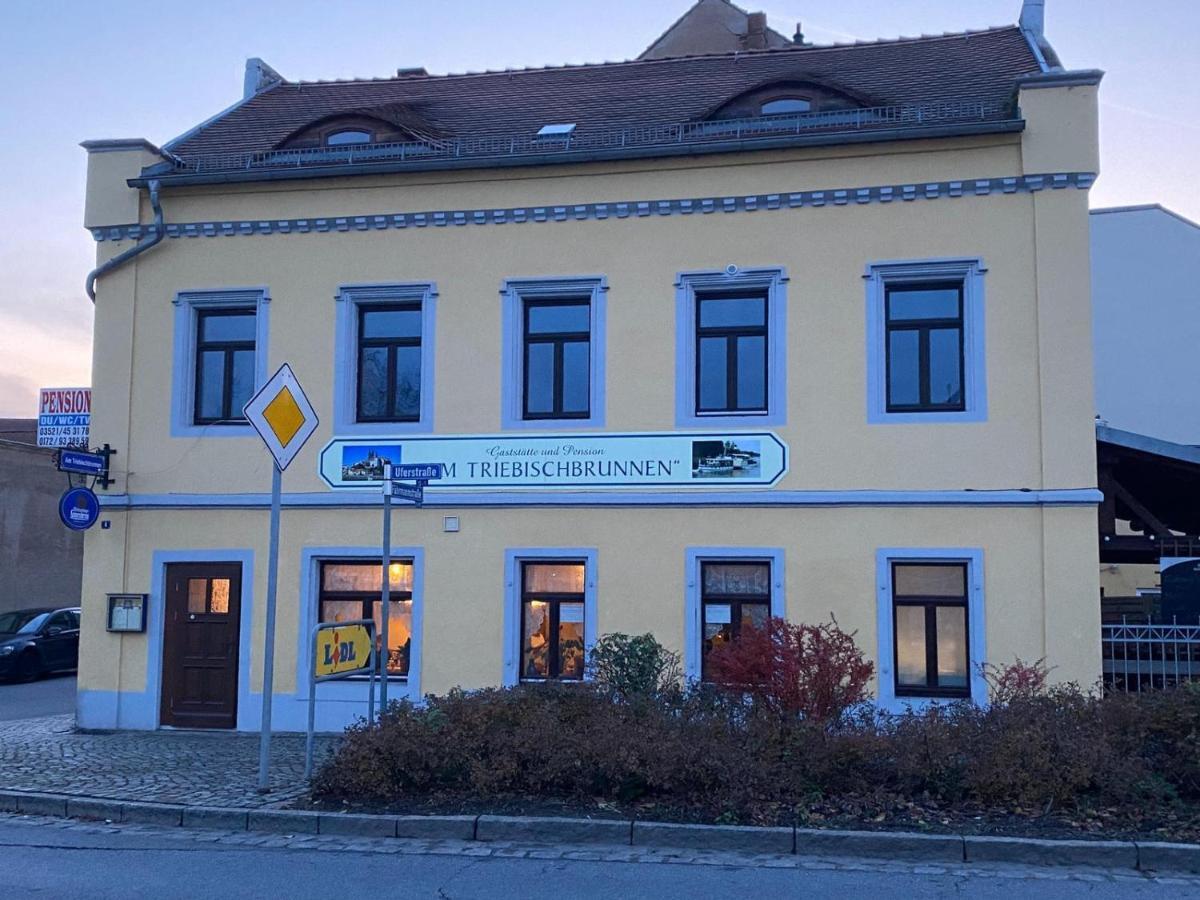 Fewo Am Triebischbrunnen Meißen المظهر الخارجي الصورة